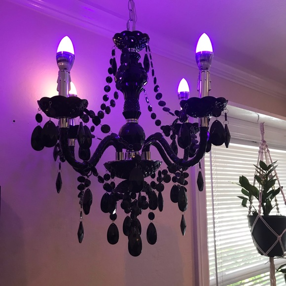 Meet your Posher, Cat - Picture 2 of 8